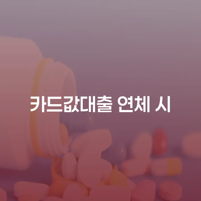 면책확인의소 개인회생,개인파산으로 해결할 수 있을까?