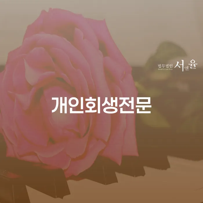 도산전문변호사 개인회생으로 방법 혼자 고민하지 마세요.