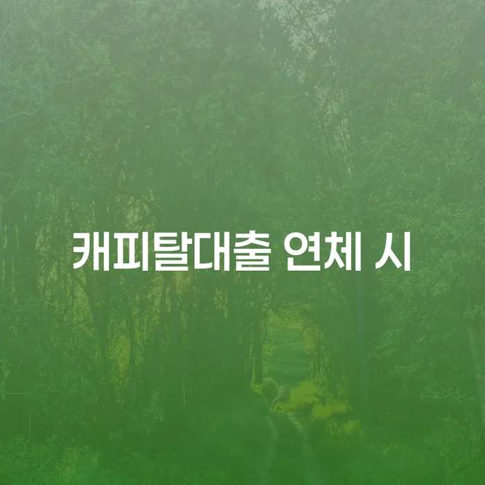 파산면책후 빚갚는 방법 있다면