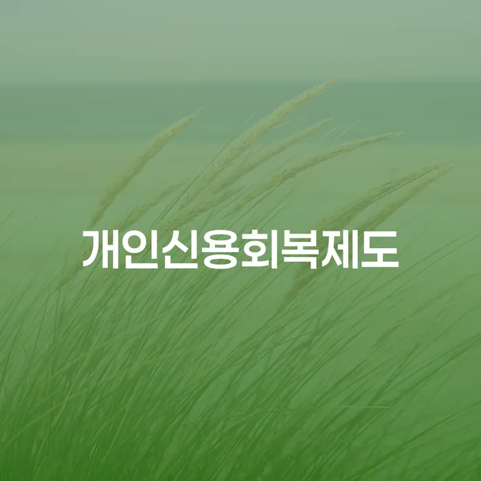 중금리대환대출 연체 시 개인회생 판단을위해
