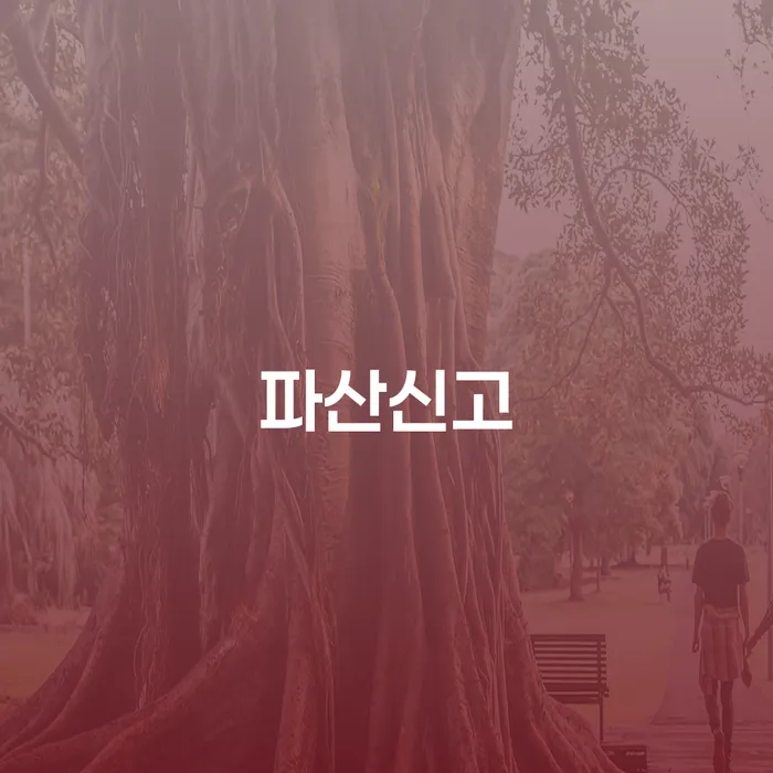 연체 개인파산 진행할 때 꼭 알아야 할