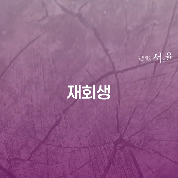 개인회생 대출 연체 개인회생 상담받아보기