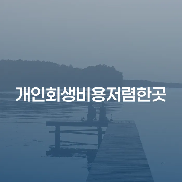불법사채 대출 연체 개인회생 신청했을 경우