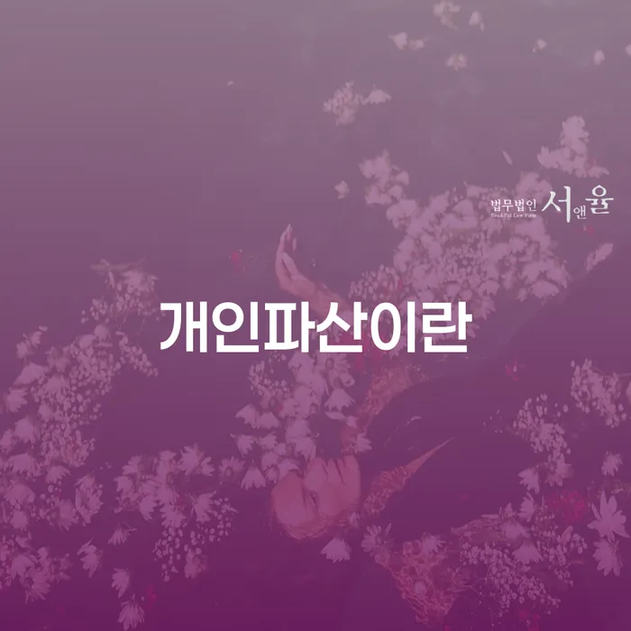 나홀로개인회생 개인회생 처리방법 어떤걸