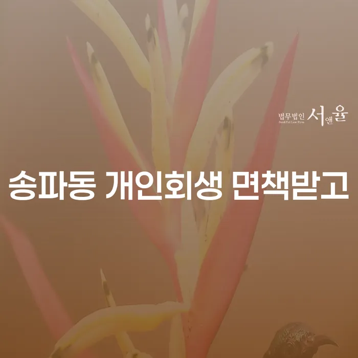 송파동 개인회생 면책받고
