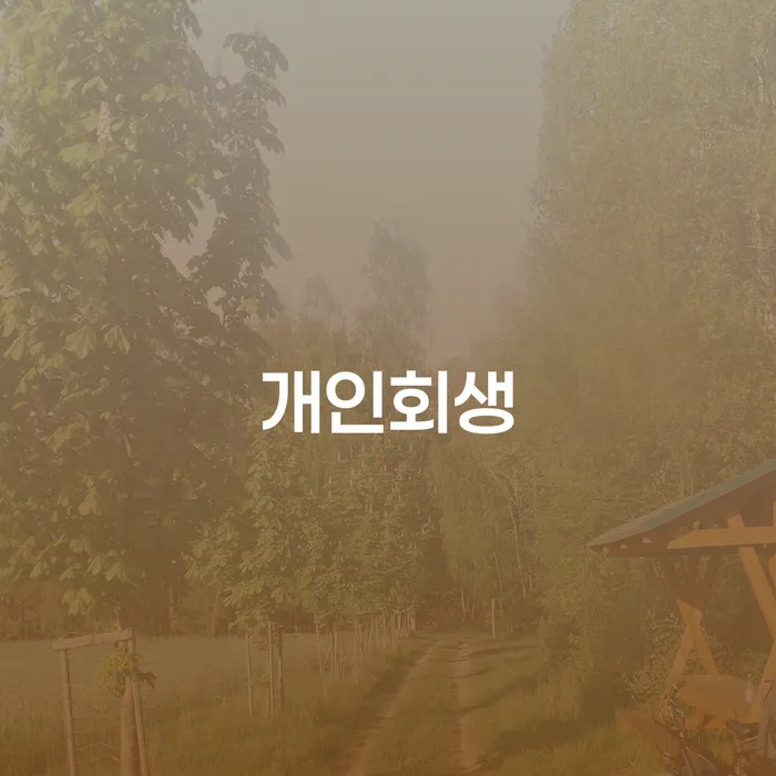 세종특별자치시 개인파산 개인회생으로 방법 체크리스트