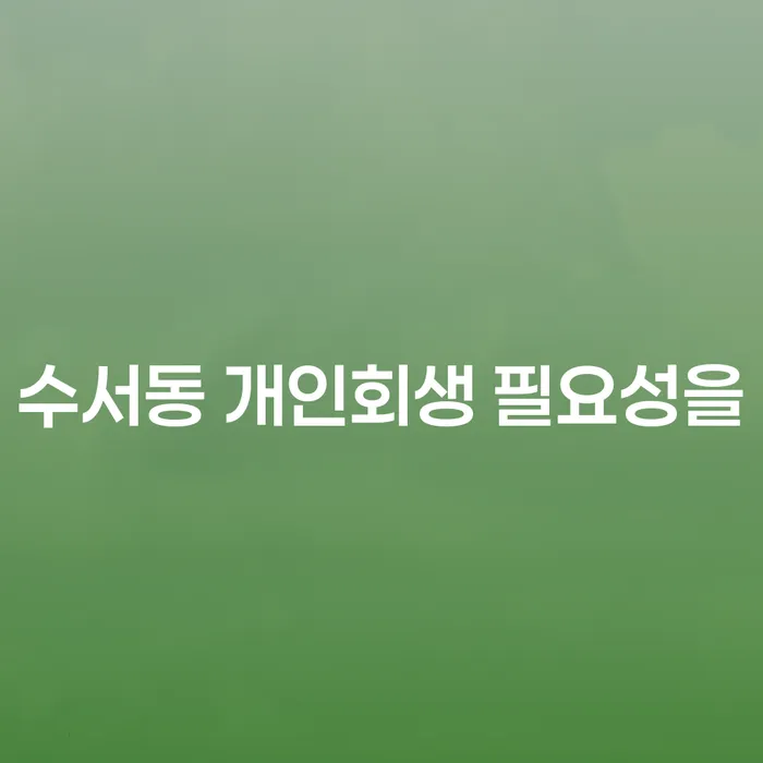 수서동 개인회생 필요성을