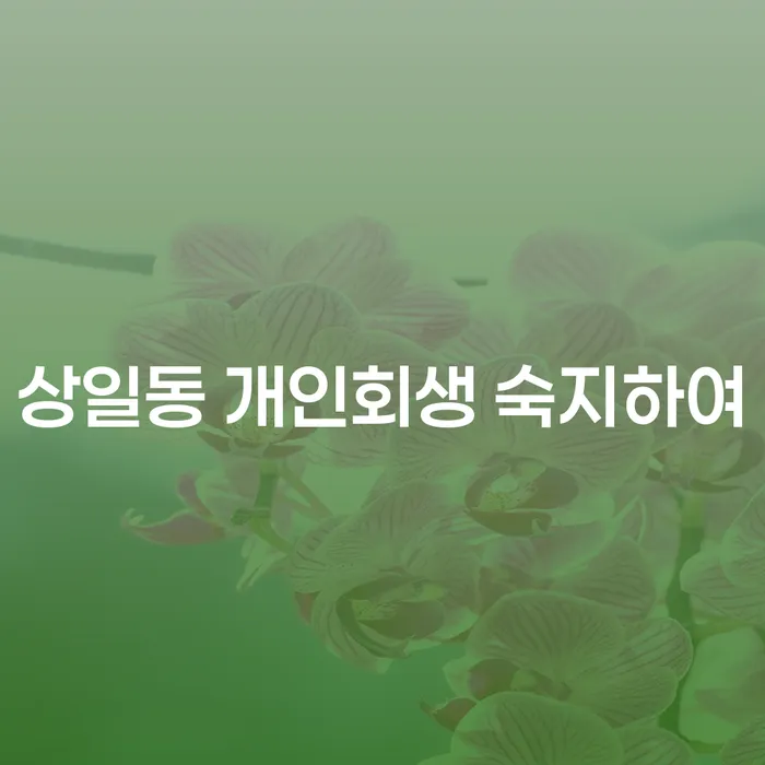 상일동 개인회생 숙지하여