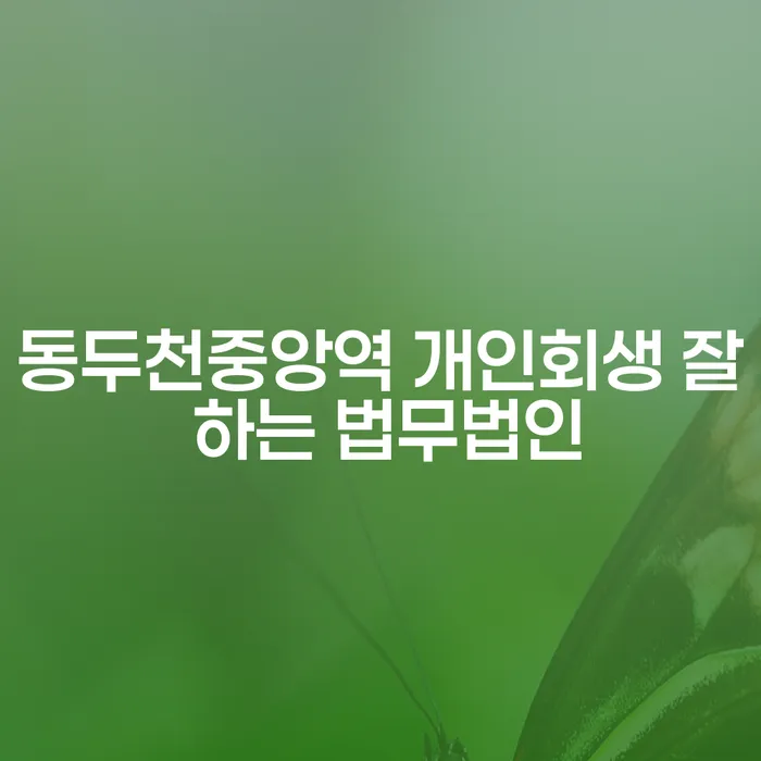 동두천중앙역 개인회생 잘 하는 법무법인