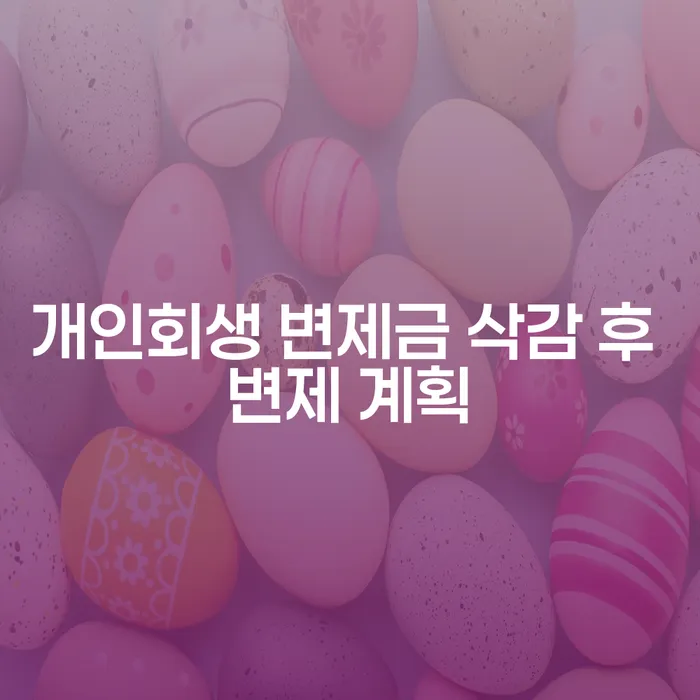 개인회생 변제금 삭감 후 변제 계획, 어떻게 하나요?