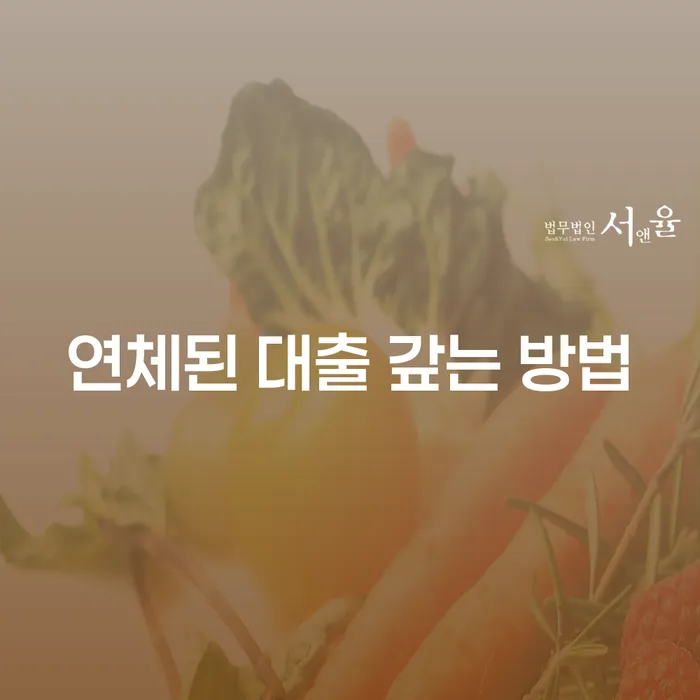 연체된 대출, 어떻게 해결할 수 있을까요? 개인회생과 파산의 활용법은?