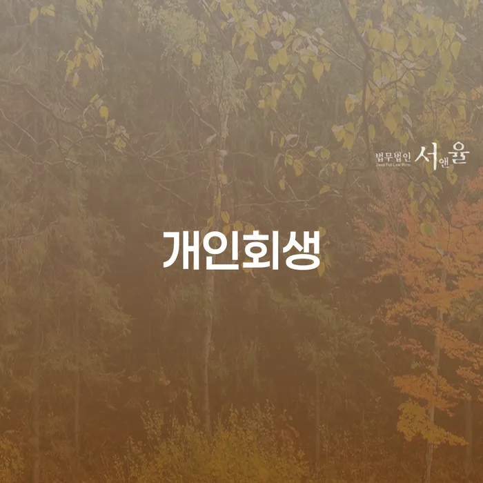 도곡2동 개인회생 절차와 혜택