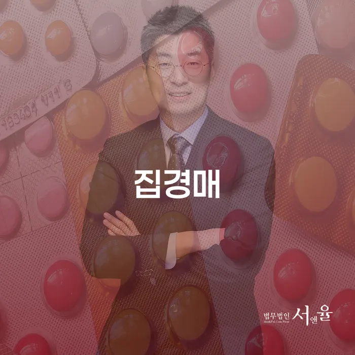 집경매 상황에서 개인회생 신청후 부인권소송을 어떻게 준비해야 할까요?
