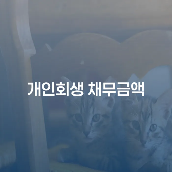 개인회생 채무금액, 청주시 상당구에서도 가능한가요?